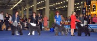 Чествование Чемпионов Мира и Европы 2013.