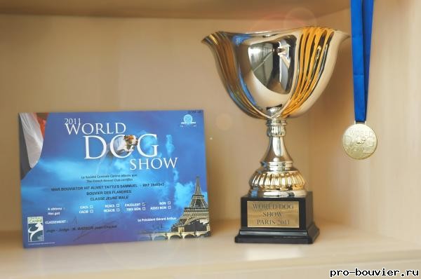 World Dog Show 2011