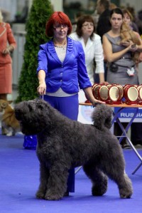 Чествование Чемпионов Мира и Европы 2013.