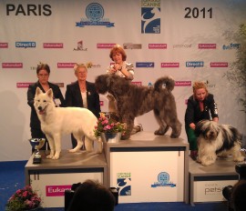 World Dog Show 2011