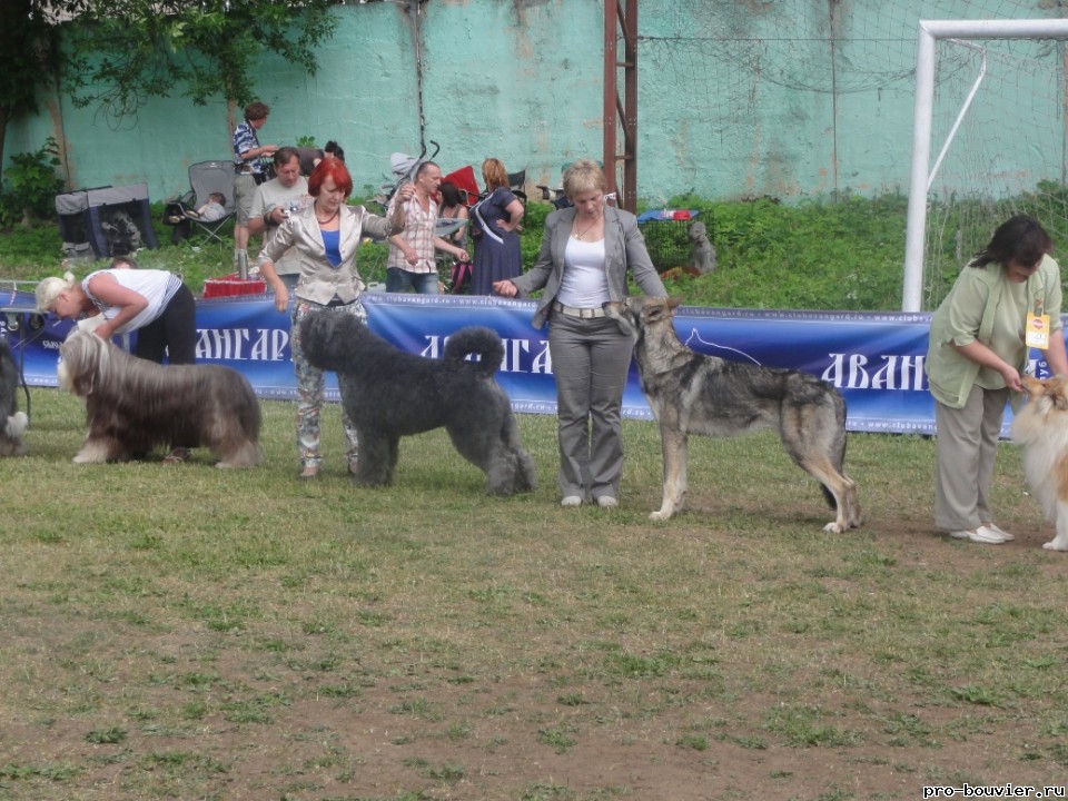 Смоленская крепость