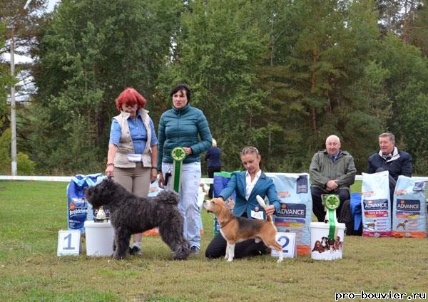Серпухов, Региональная выставка собак всех пород
