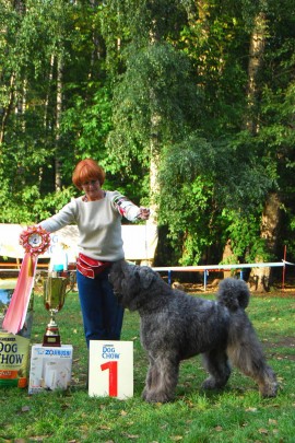 Москва, Сокольники 2011