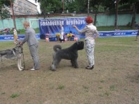 Смоленская крепость