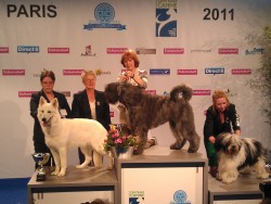 World Dog Show 2011