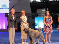 World Dog Show 2011