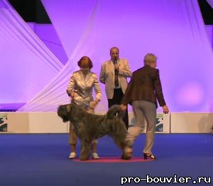 World Dog Show 2011