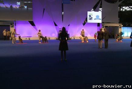 World Dog Show 2011