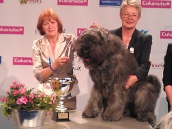 World Dog Show 2011