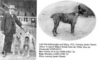 www.bouviersdesflandres-chiots.com