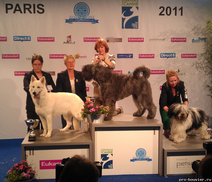 World Dog Show 2011