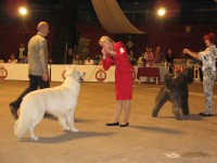 International Dog Show in Monaco