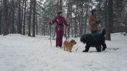 Техас