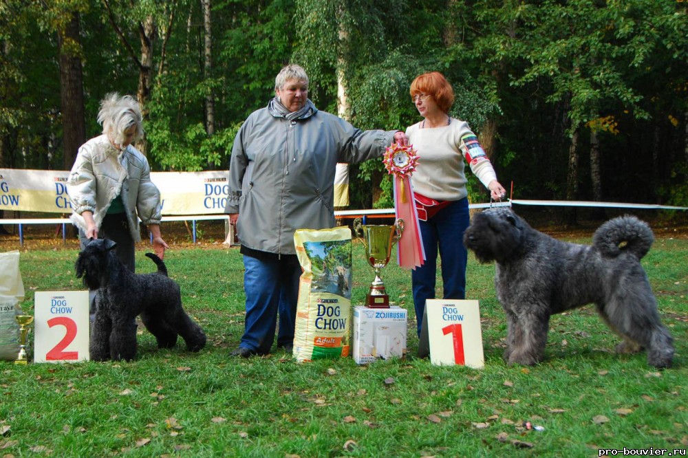 Москва, Сокольники 2011