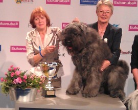 World Dog Show 2011