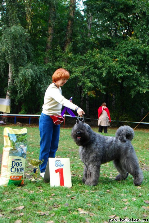 Москва, Сокольники 2011