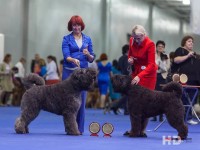 Чествование Чемпионов Мира и Европы 2013. В ринге Сэм, Татту, Савкина Л. и Андрианова И.