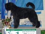 Израиль