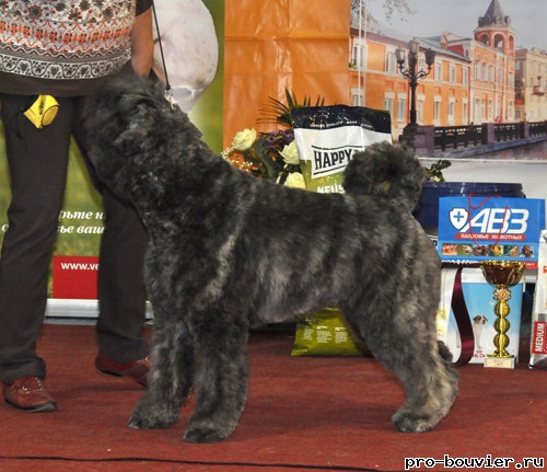 ЧЕРНОЗЕМЬЕ-2012