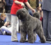 Best JUNIOR Eurasia-2011 26.03.11